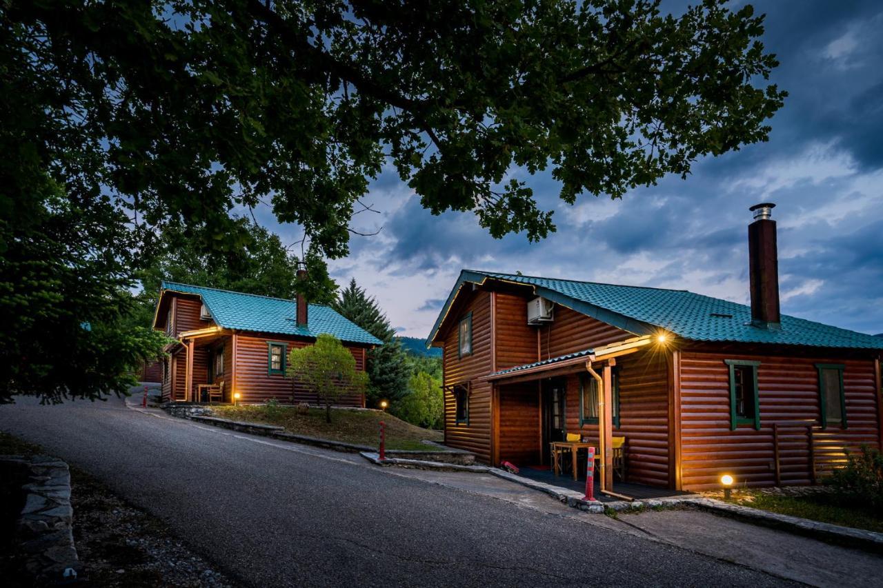 Chalet Likouresi Village Karpenisi Ngoại thất bức ảnh