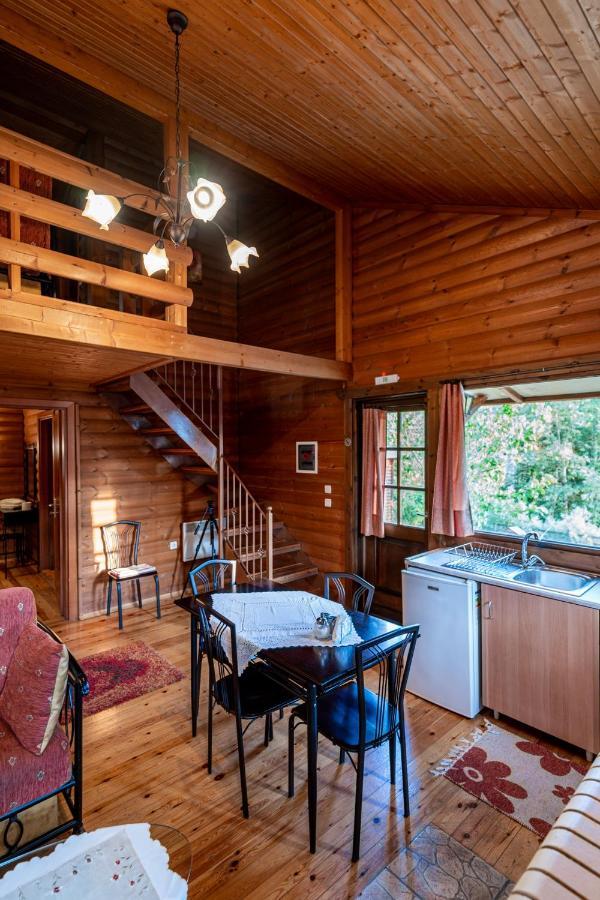 Chalet Likouresi Village Karpenisi Ngoại thất bức ảnh