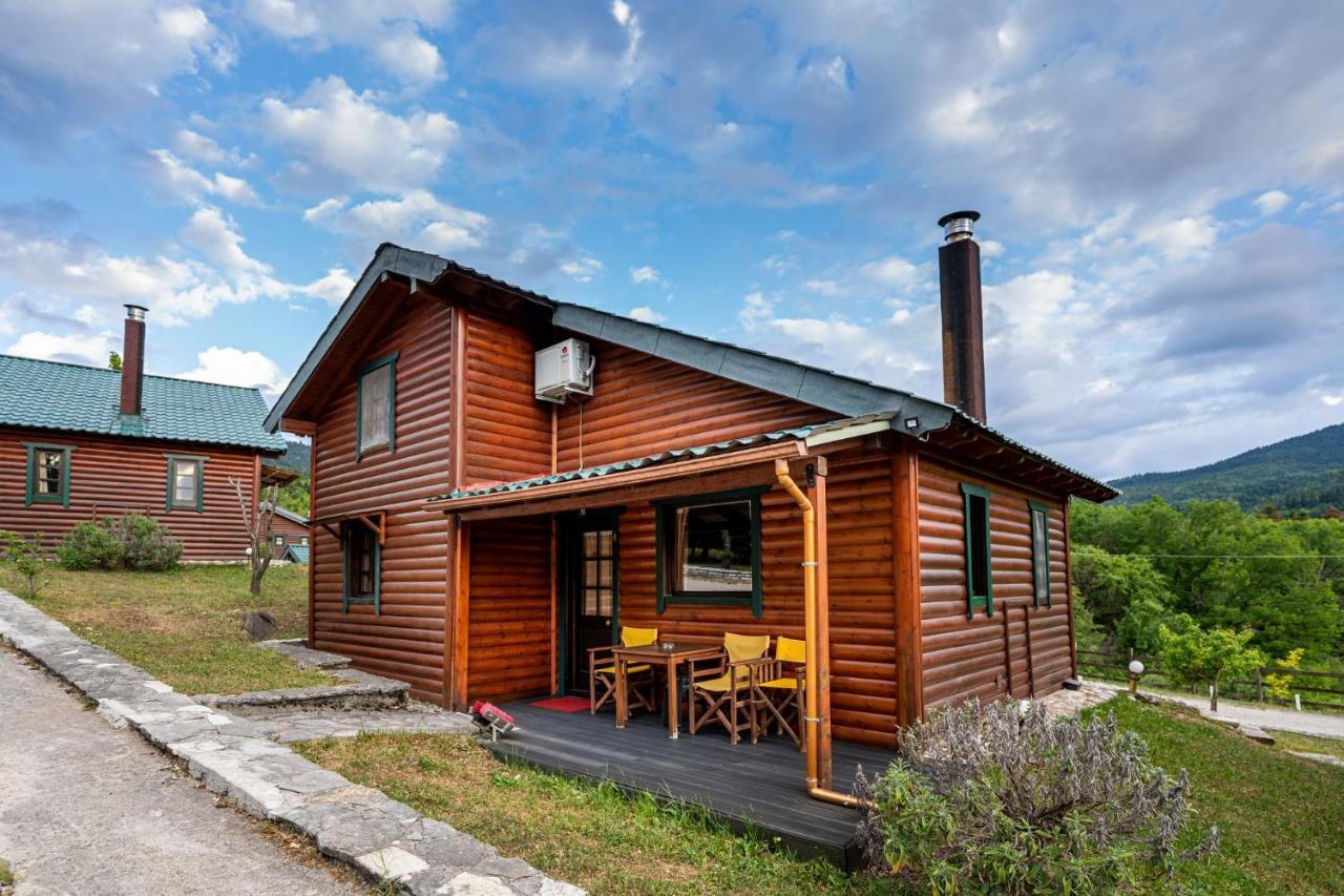 Chalet Likouresi Village Karpenisi Ngoại thất bức ảnh
