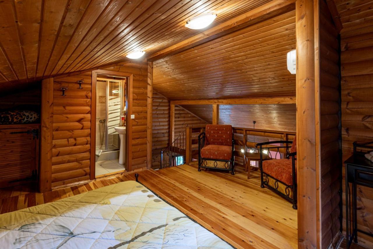 Chalet Likouresi Village Karpenisi Ngoại thất bức ảnh