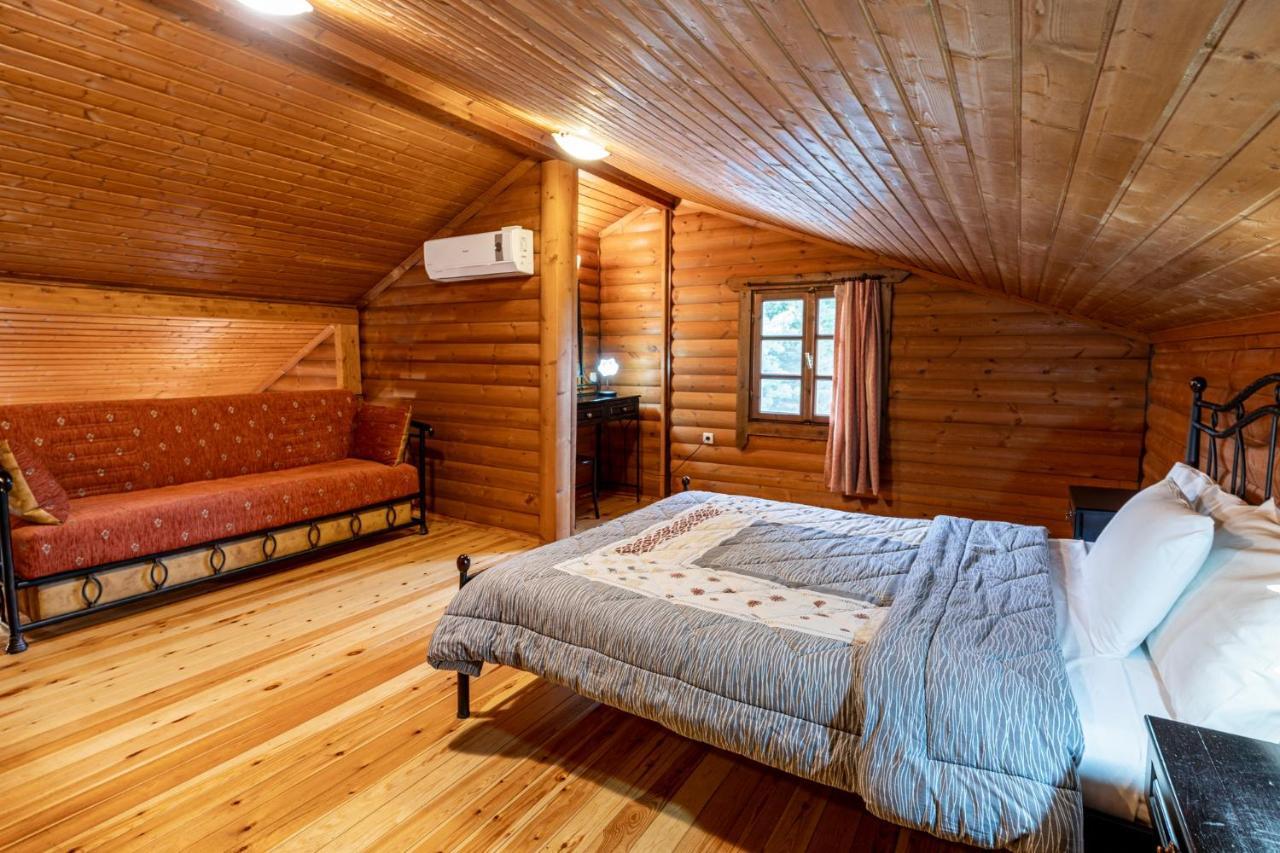 Chalet Likouresi Village Karpenisi Ngoại thất bức ảnh